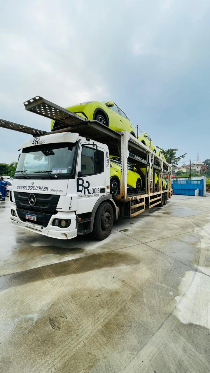 Cegonha para veículos premium